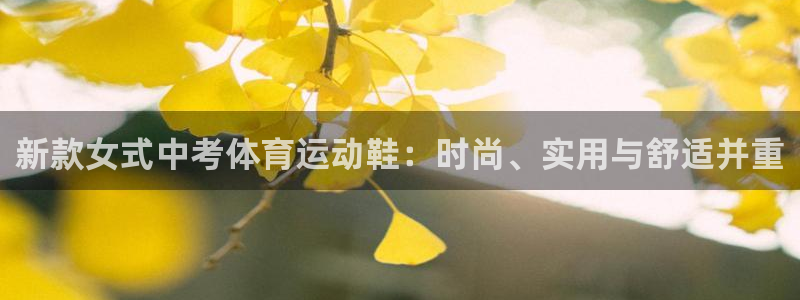 oety欧亿
