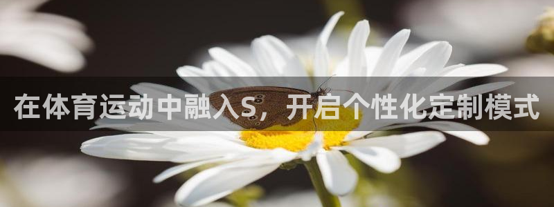 oety欧亿