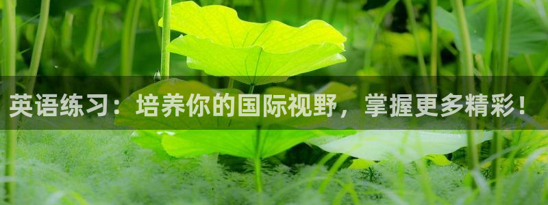 oety欧亿：英语练习：培养你的国际视野，掌握更多精彩！