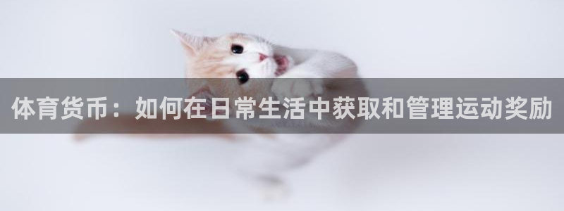 oety欧亿