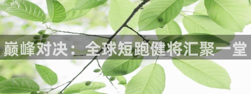 oety欧亿：巅峰对决：全球短跑健将汇聚一堂