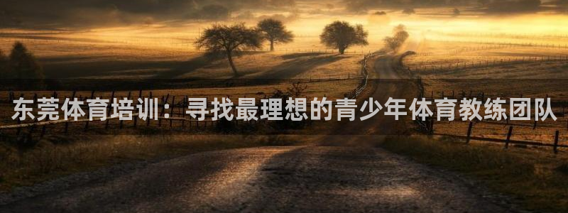 oety欧亿：东莞体育培训：寻找最理想的青少年体育教练团队