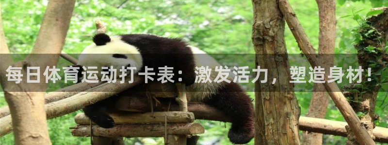 oety欧亿：每日体育运动打卡表：激发活力，塑造身材！