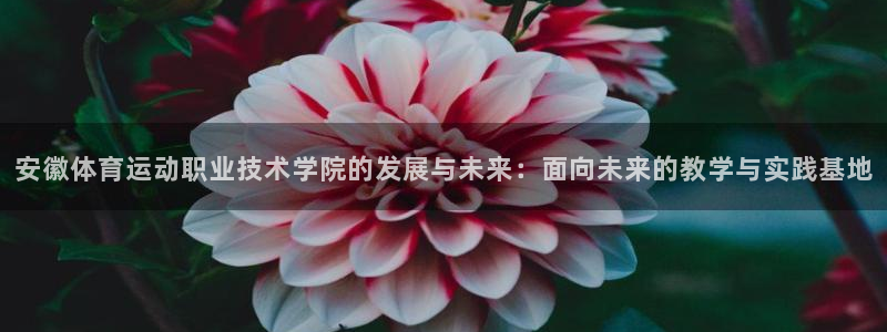 oety欧亿：安徽体育运动职业技术学院的发展与未来：面向未来的教学与实践基地