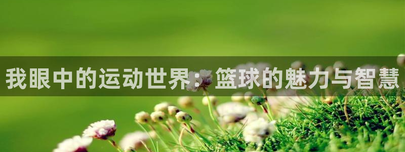 oety欧亿：我眼中的运动世界：篮球的魅力与智慧